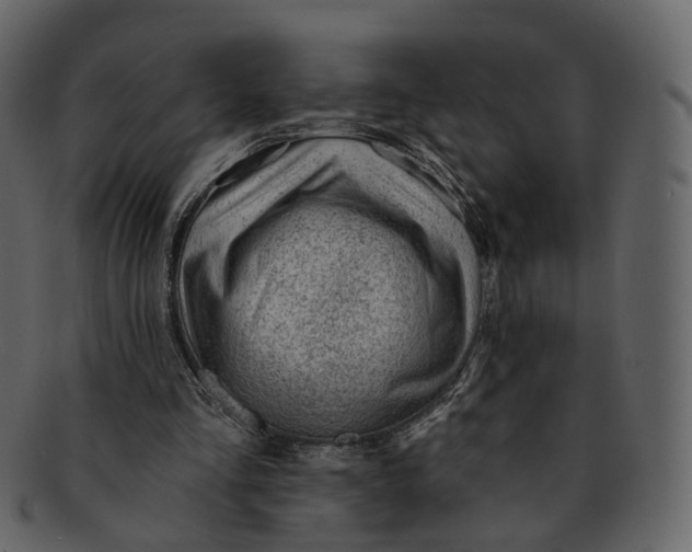 X0000092300293200710051225