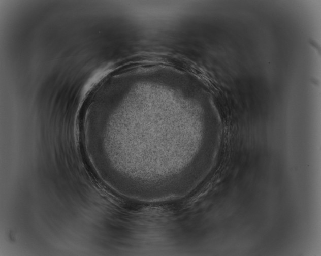 X0000092300294200710051225