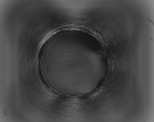 X0000092300295200710051225