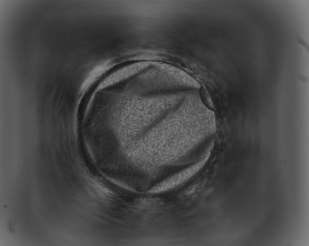 X0000092300296200710051225