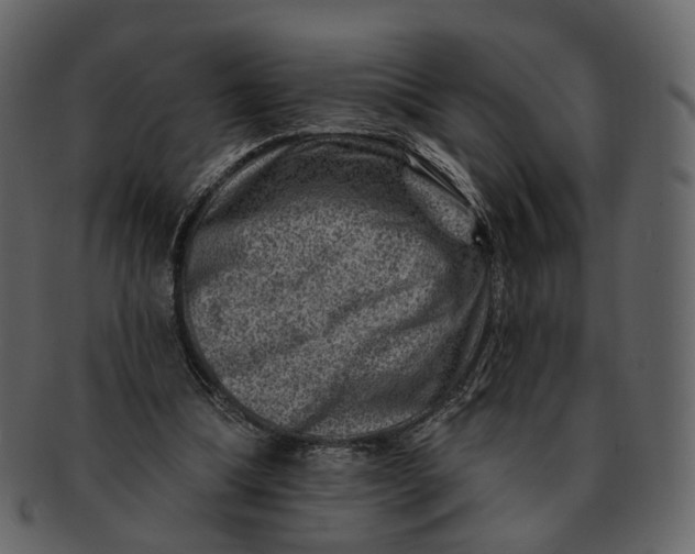 X0000092300298200710051225