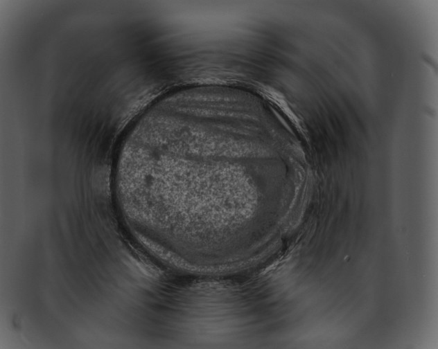 X0000092300299200710051225