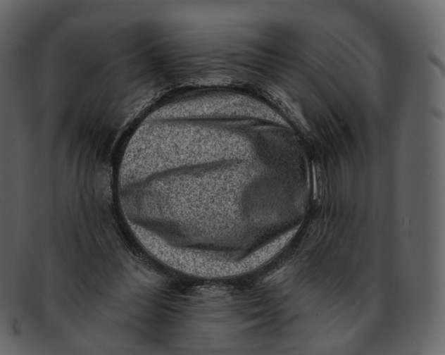 X0000092300300200710051225