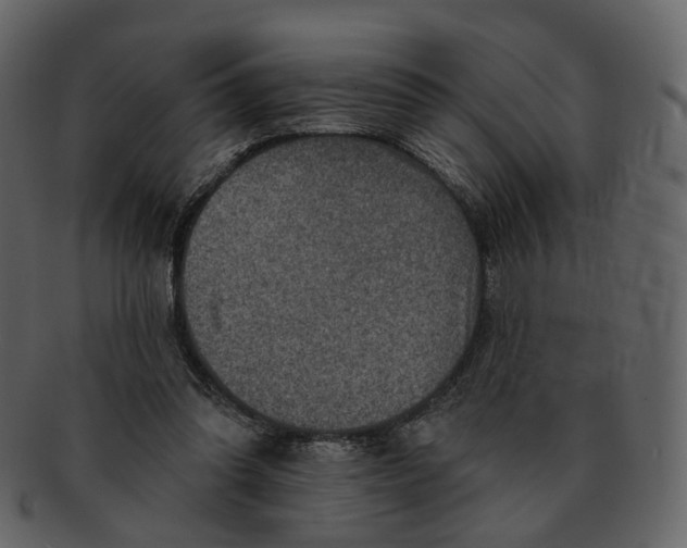 X0000092300302200710051225