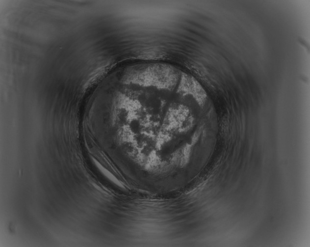 X0000092300303200710051225