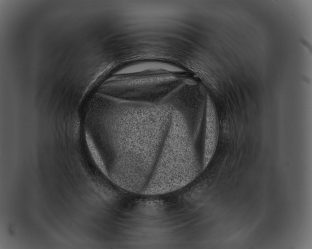 X0000092300304200710051225