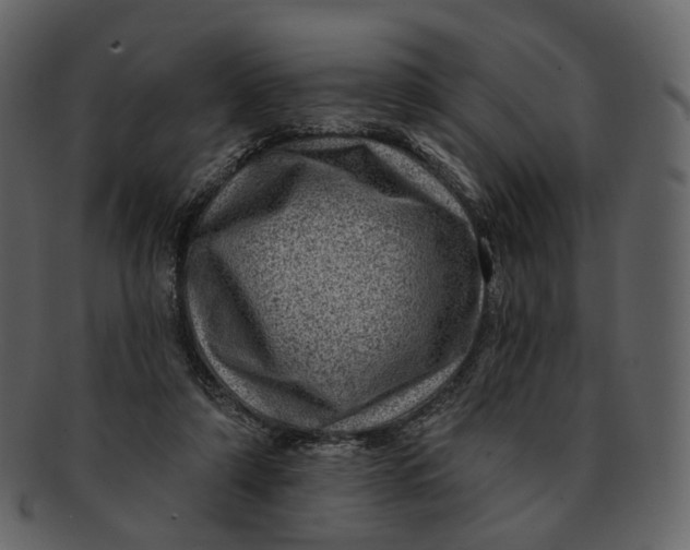 X0000092300306200710051225