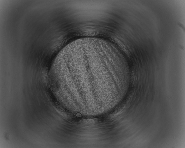 X0000092300307200710051225