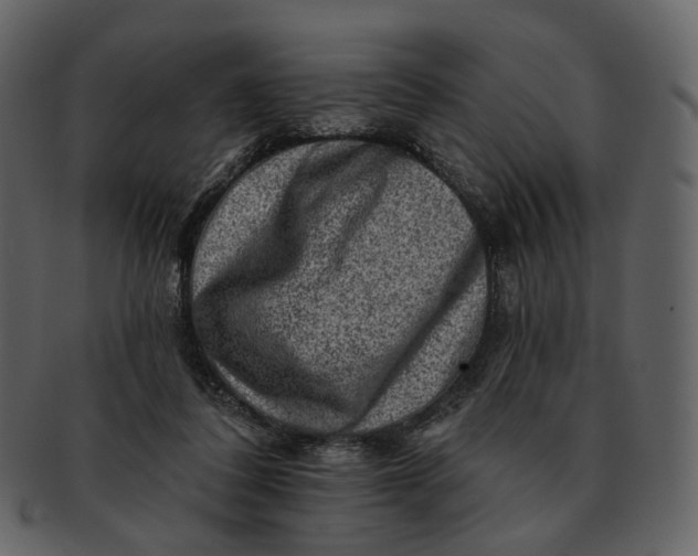 X0000092300308200710051225