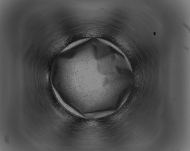 X0000092300310200710051225