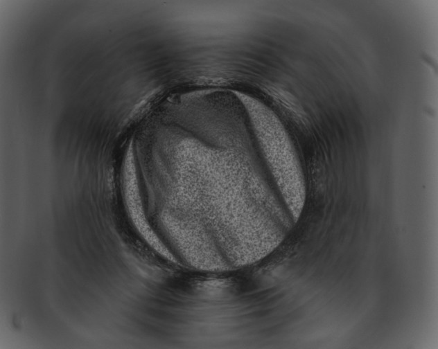 X0000092300312200710051225