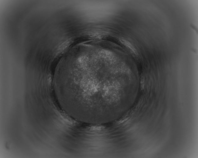 X0000092300314200710051225