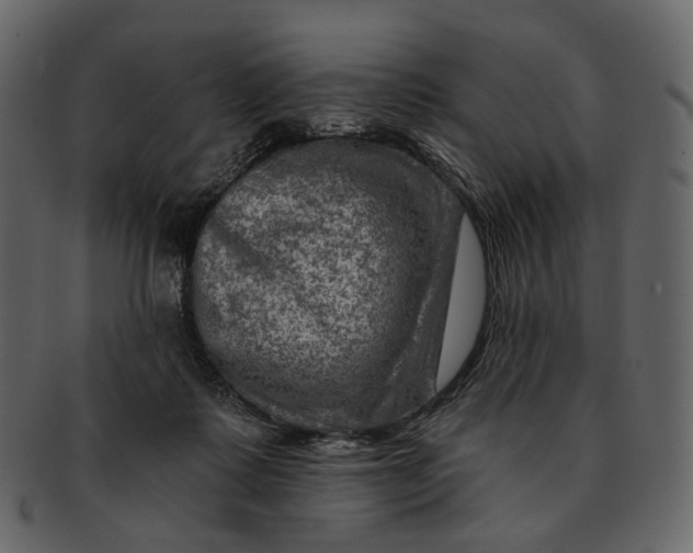 X0000092300315200710051225