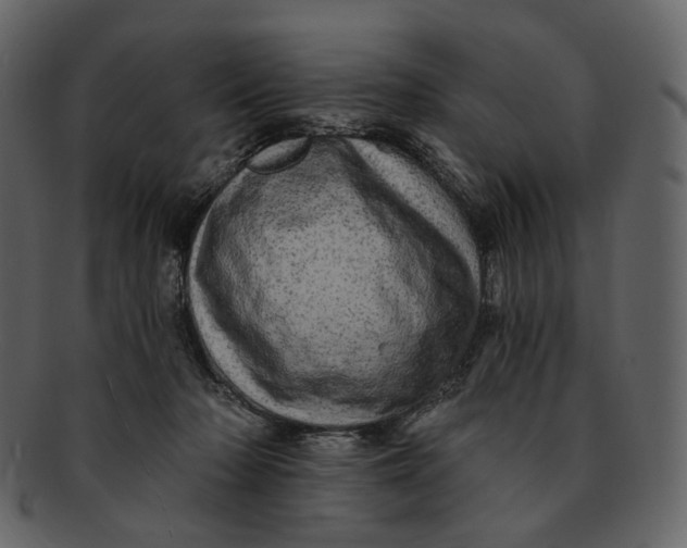 X0000092300318200710051225