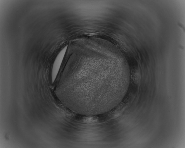 X0000092300319200710051225