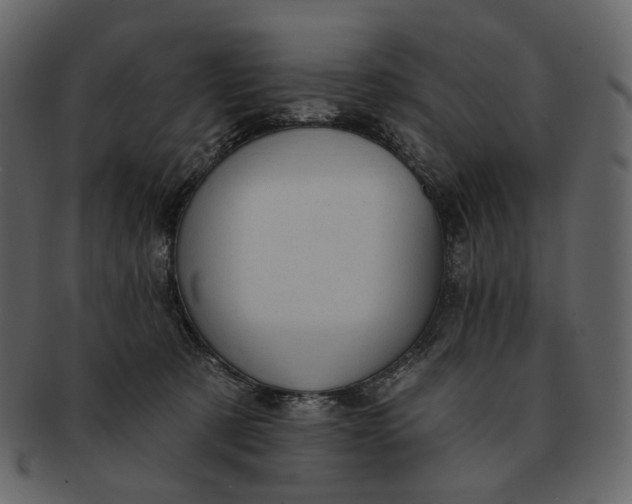 X0000092300321200710051225