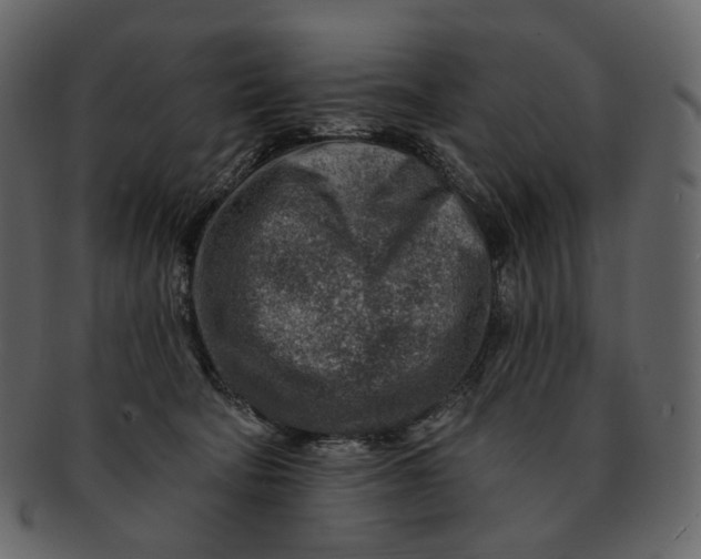 X0000092300322200710051225