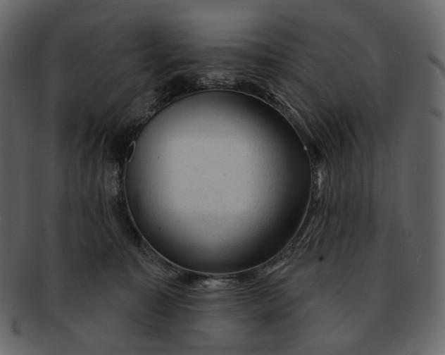 X0000092300323200710051225