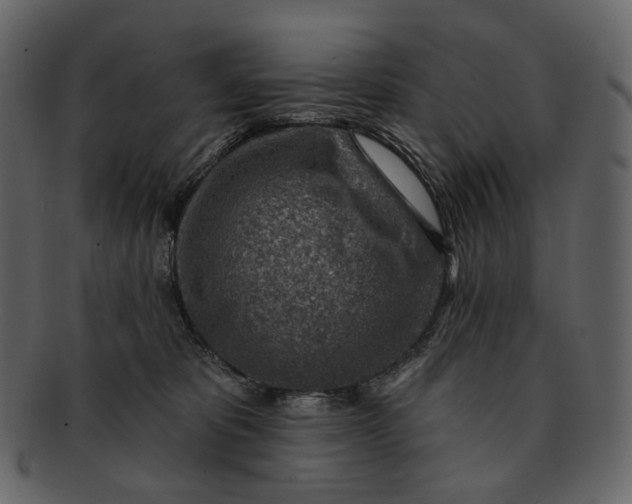 X0000092300325200710051225