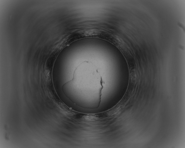 X0000092300327200710051225