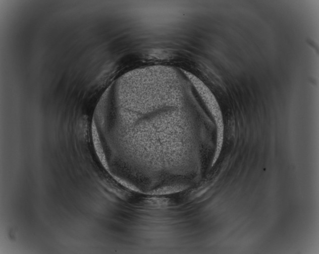 X0000092300328200710051225