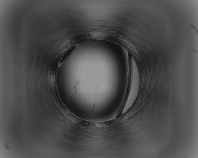 X0000092300329200710051225