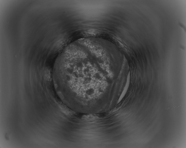 X0000092300331200710051225