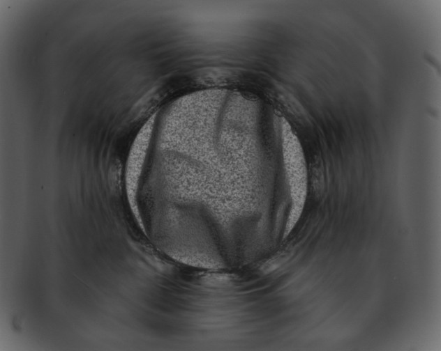 X0000092300332200710051225