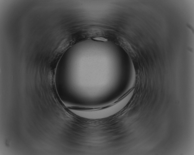 X0000092300333200710051225