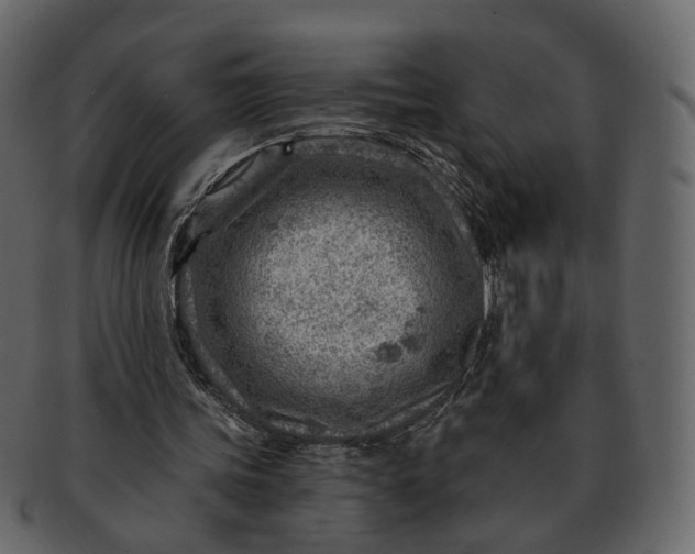 X0000092300339200710051224