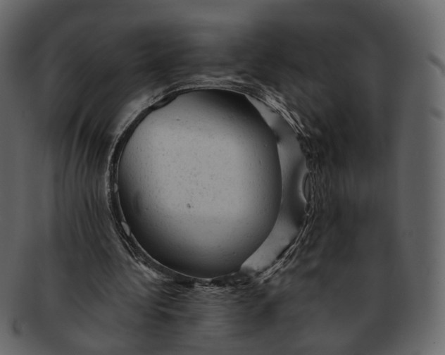 X0000092300340200710051224