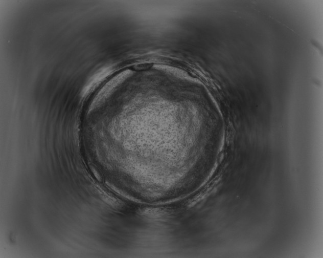 X0000092300341200710051224