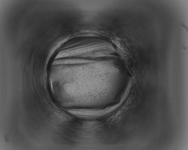 X0000092300342200710051224