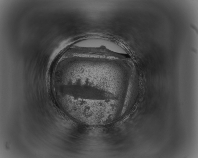 X0000092300343200710051224