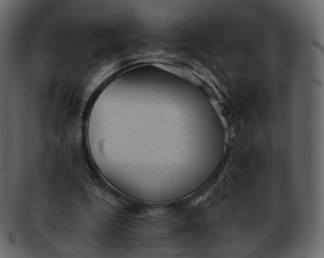 X0000092300344200710051224