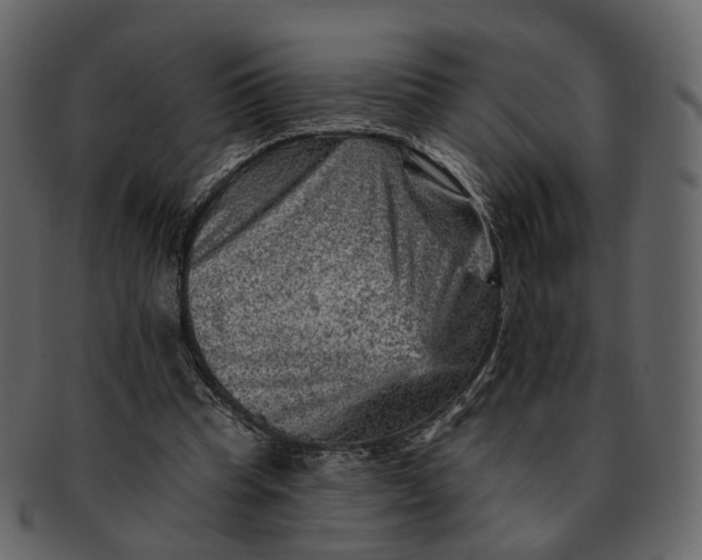 X0000092300345200710051224