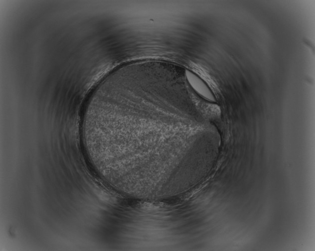 X0000092300346200710051224