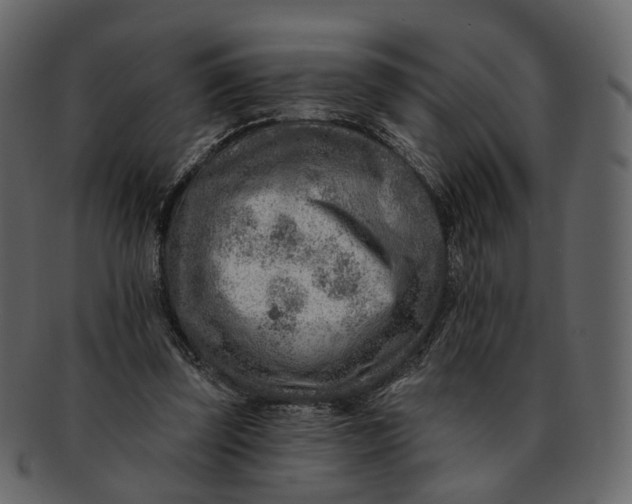 X0000092300347200710051224