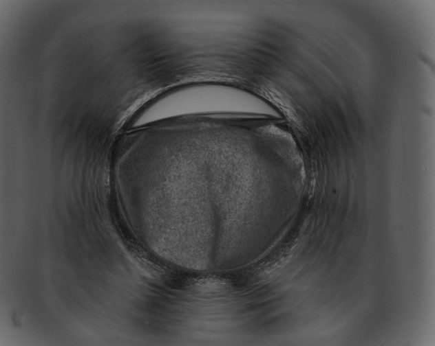 X0000092300348200710051224