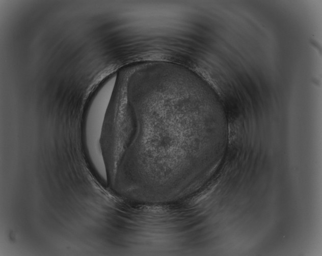 X0000092300349200710051224