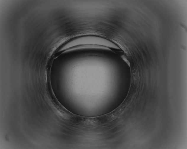 X0000092300350200710051224