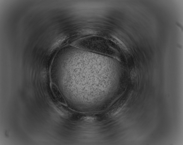 X0000092300352200710051224