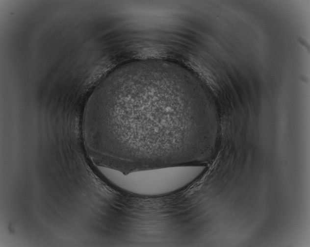 X0000092300353200710051224