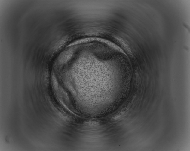 X0000092300354200710051224