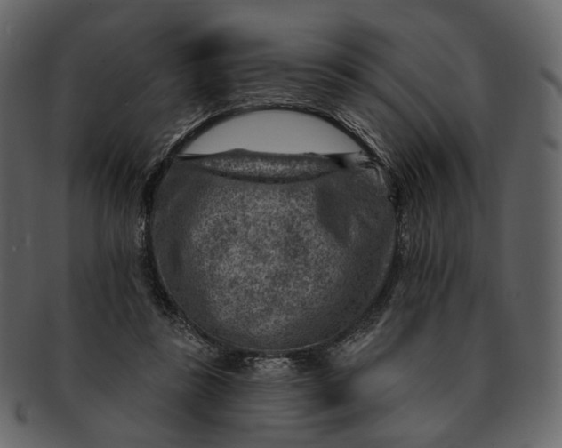 X0000092300355200710051224