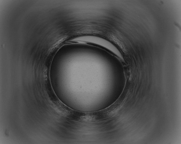 X0000092300356200710051224