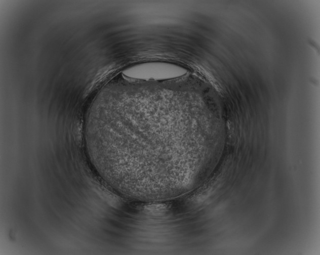 X0000092300357200710051224