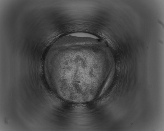 X0000092300359200710051224