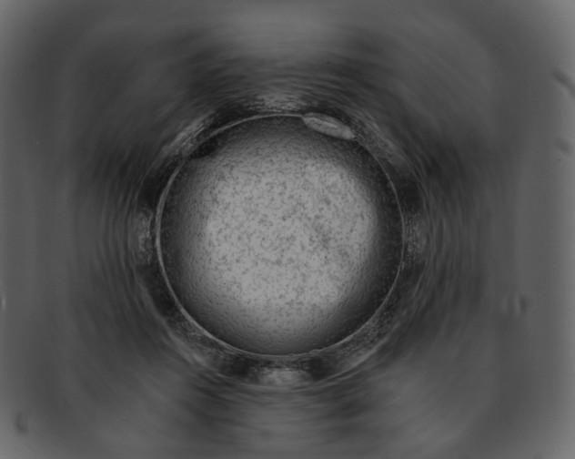 X0000092300360200710051224