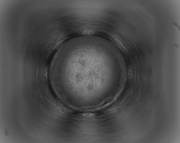 X0000092300363200710051224